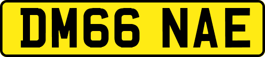 DM66NAE