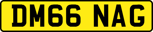 DM66NAG