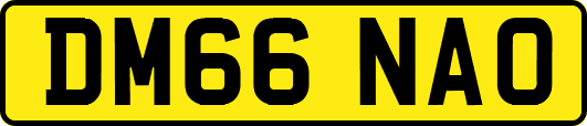 DM66NAO