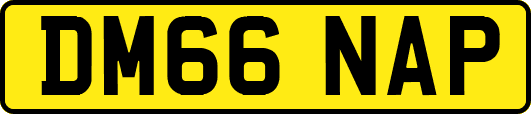 DM66NAP