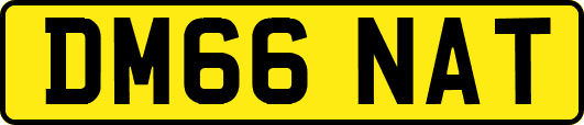 DM66NAT
