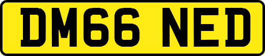 DM66NED