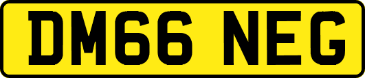 DM66NEG