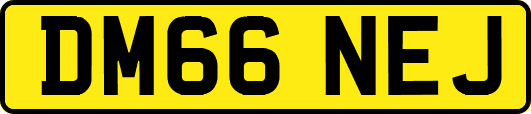 DM66NEJ