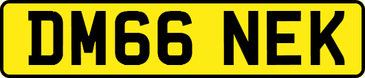 DM66NEK