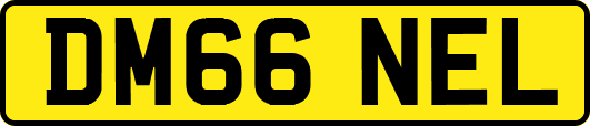 DM66NEL