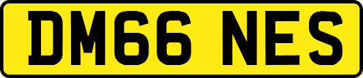 DM66NES