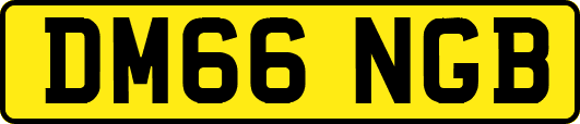 DM66NGB