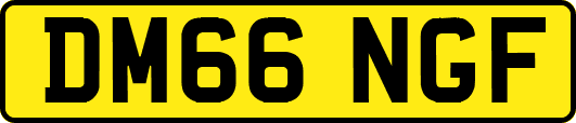 DM66NGF