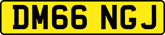DM66NGJ