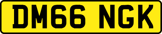 DM66NGK
