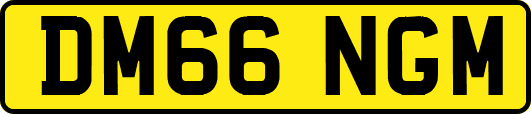 DM66NGM