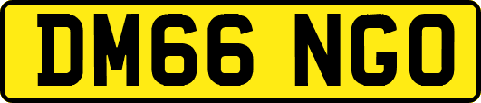 DM66NGO