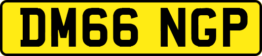 DM66NGP