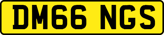 DM66NGS