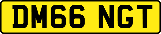 DM66NGT