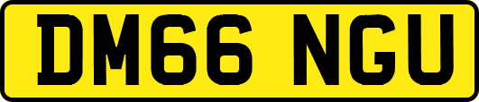 DM66NGU