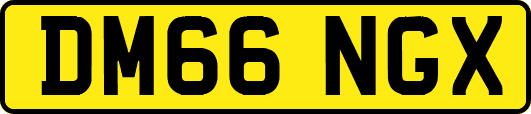 DM66NGX