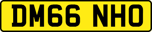 DM66NHO