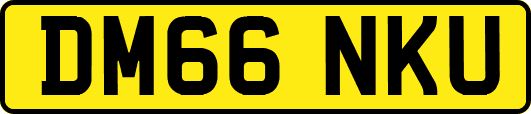 DM66NKU