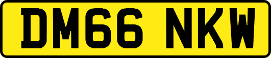 DM66NKW