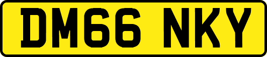 DM66NKY