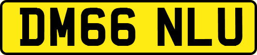 DM66NLU
