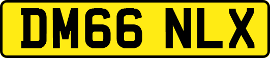 DM66NLX