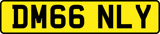 DM66NLY