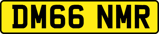 DM66NMR