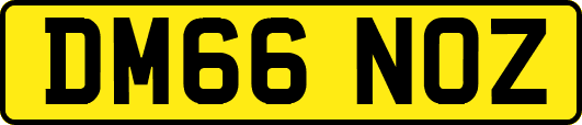 DM66NOZ