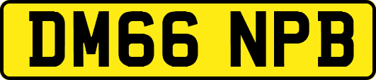 DM66NPB
