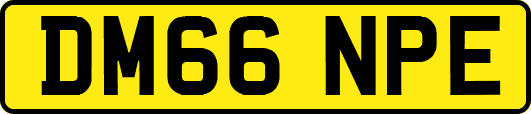 DM66NPE