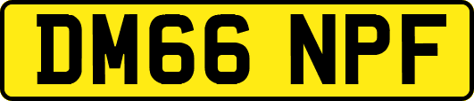 DM66NPF