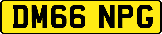 DM66NPG
