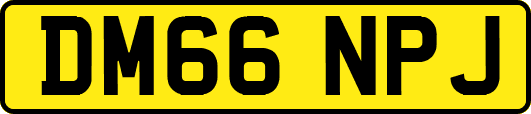DM66NPJ