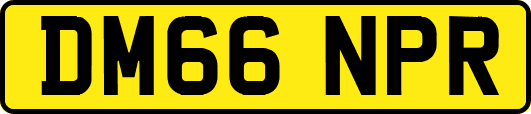 DM66NPR