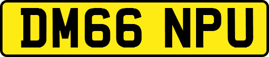 DM66NPU
