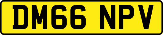 DM66NPV