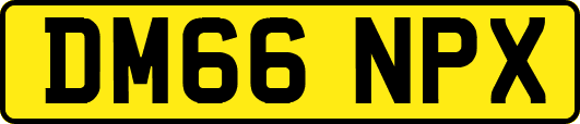 DM66NPX