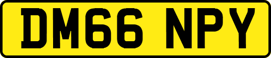 DM66NPY