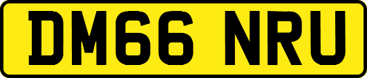 DM66NRU