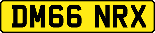 DM66NRX
