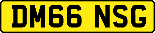 DM66NSG