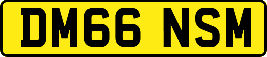 DM66NSM