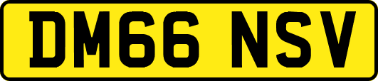 DM66NSV