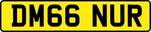 DM66NUR