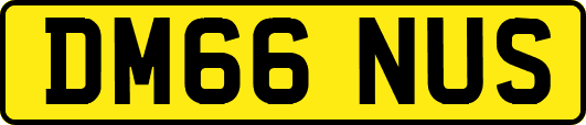 DM66NUS