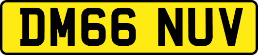 DM66NUV