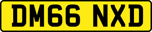 DM66NXD